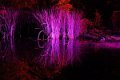 Ilumina_2014   064